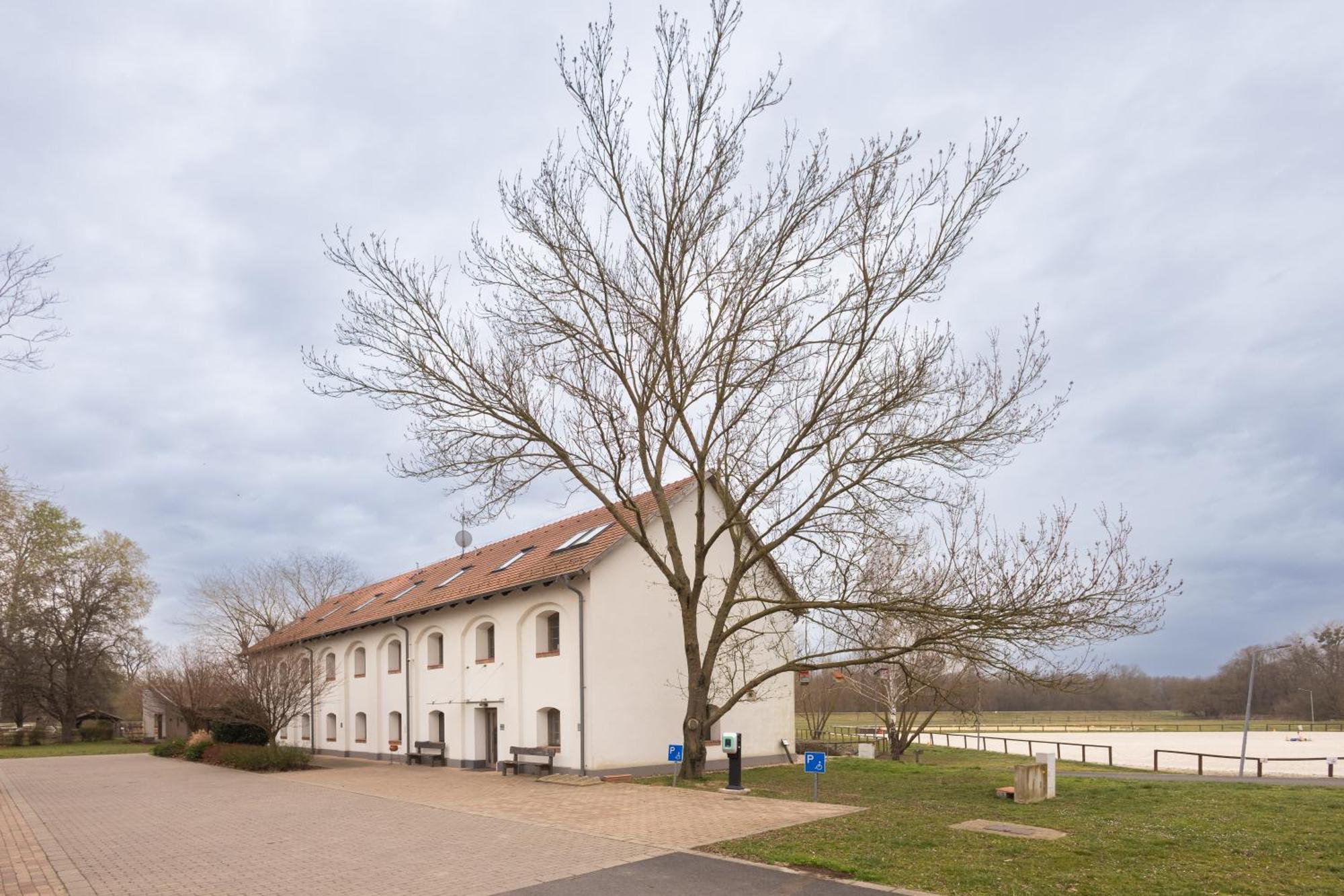Vadkert Major Hotel Sárvár Eksteriør billede